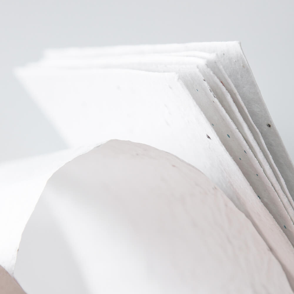 Samenpapier DIN A5 | 200 gr./m2 - Bild 7