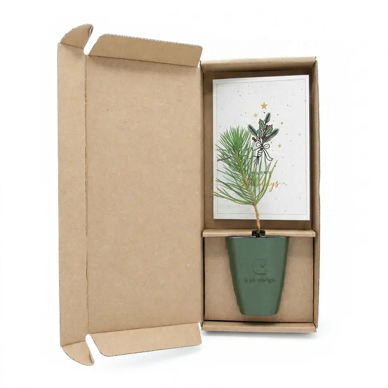Baumgeschenk in Schachtel mit Logo | Weihnachten
