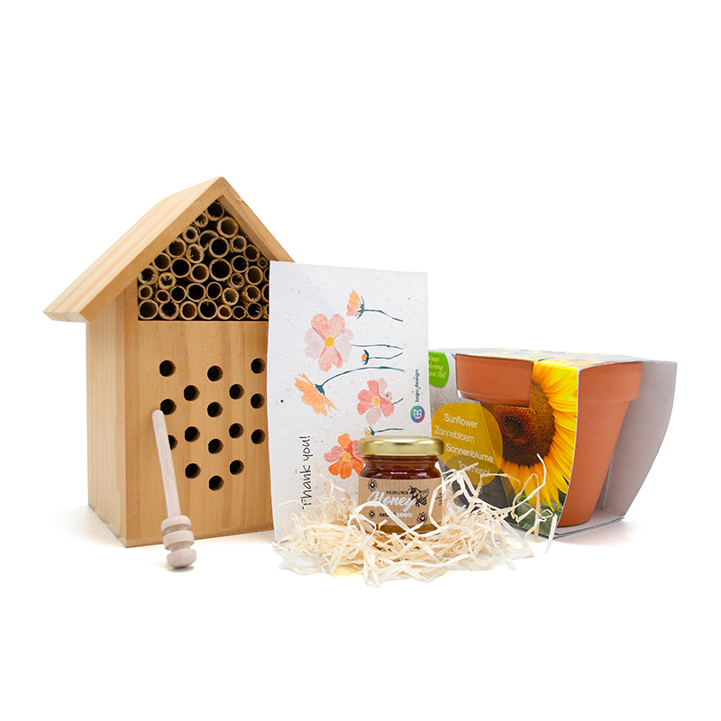 Sonniges Bienenpaket - Bild 2
