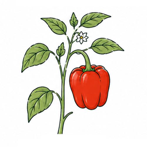Samentütchen 65 x 95 mm plastikfrei - Bild 14