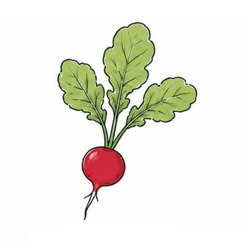 Samentütchen 65 x 95 mm plastikfrei - Bild 16