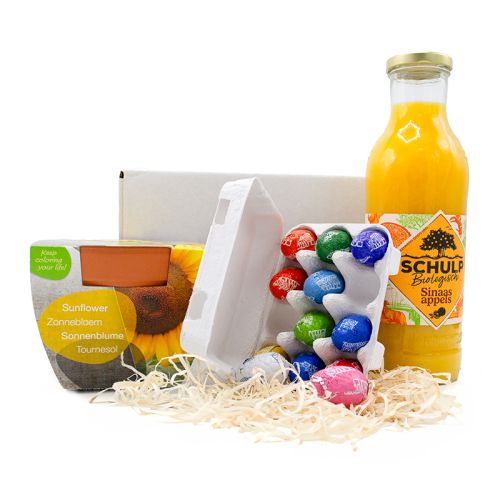 Blühendes Ostergeschenk - Bild 1