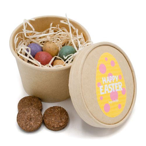 Frühling in einer Schachtel - Bild 1